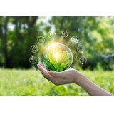 Nature and sustainability: Innovation in the London Market - a case study on carbon