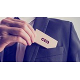 So you want to be a CEO?