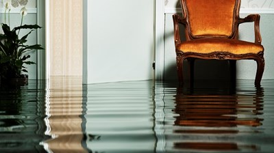 Lunchtime Webinar - Escapes of Water and Engineering Failures