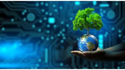 Nature and the insurance industry