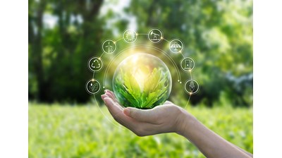 Nature and sustainability: Innovation in the London Market - a case study on carbon