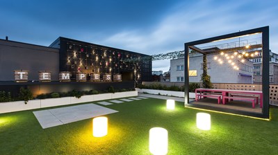 Summer Drinks with Networking