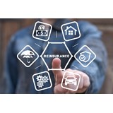 YMC webinar: Reinsurance Unwrapped - Demystifying the basics