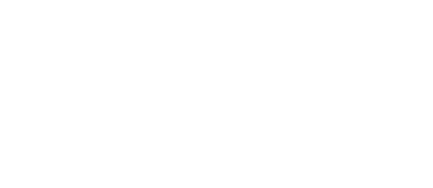 The Insurance Institute of Cardiff