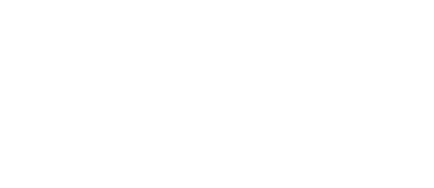 The Insurance Institute of Southampton